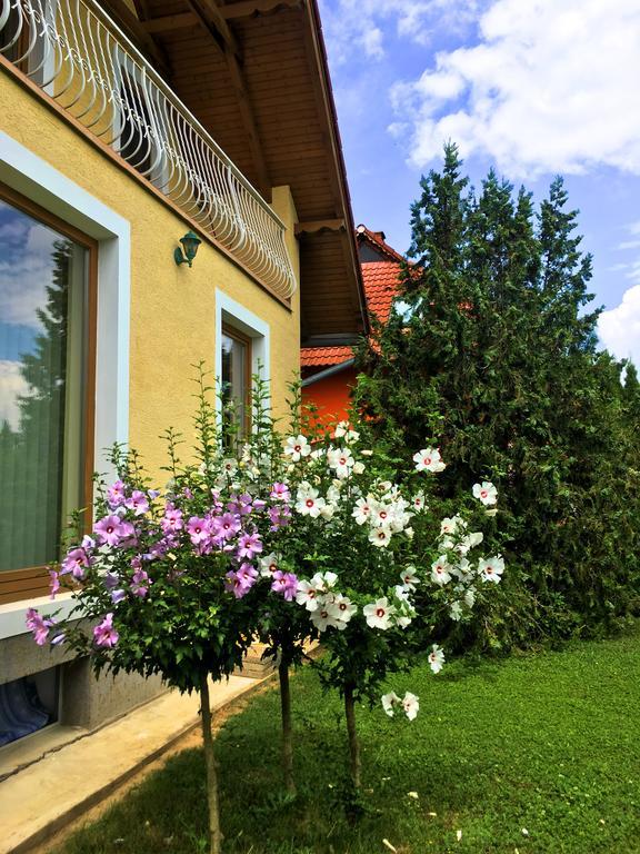 Petra Apartmanhaz Badacsonytomaj Zewnętrze zdjęcie
